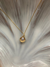 Lade das Bild in den Galerie-Viewer, Shell Necklace
