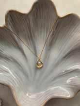 Lade das Bild in den Galerie-Viewer, Shell Necklace
