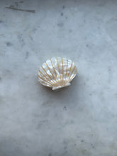 Lade das Bild in den Galerie-Viewer, Shell Hair Clip
