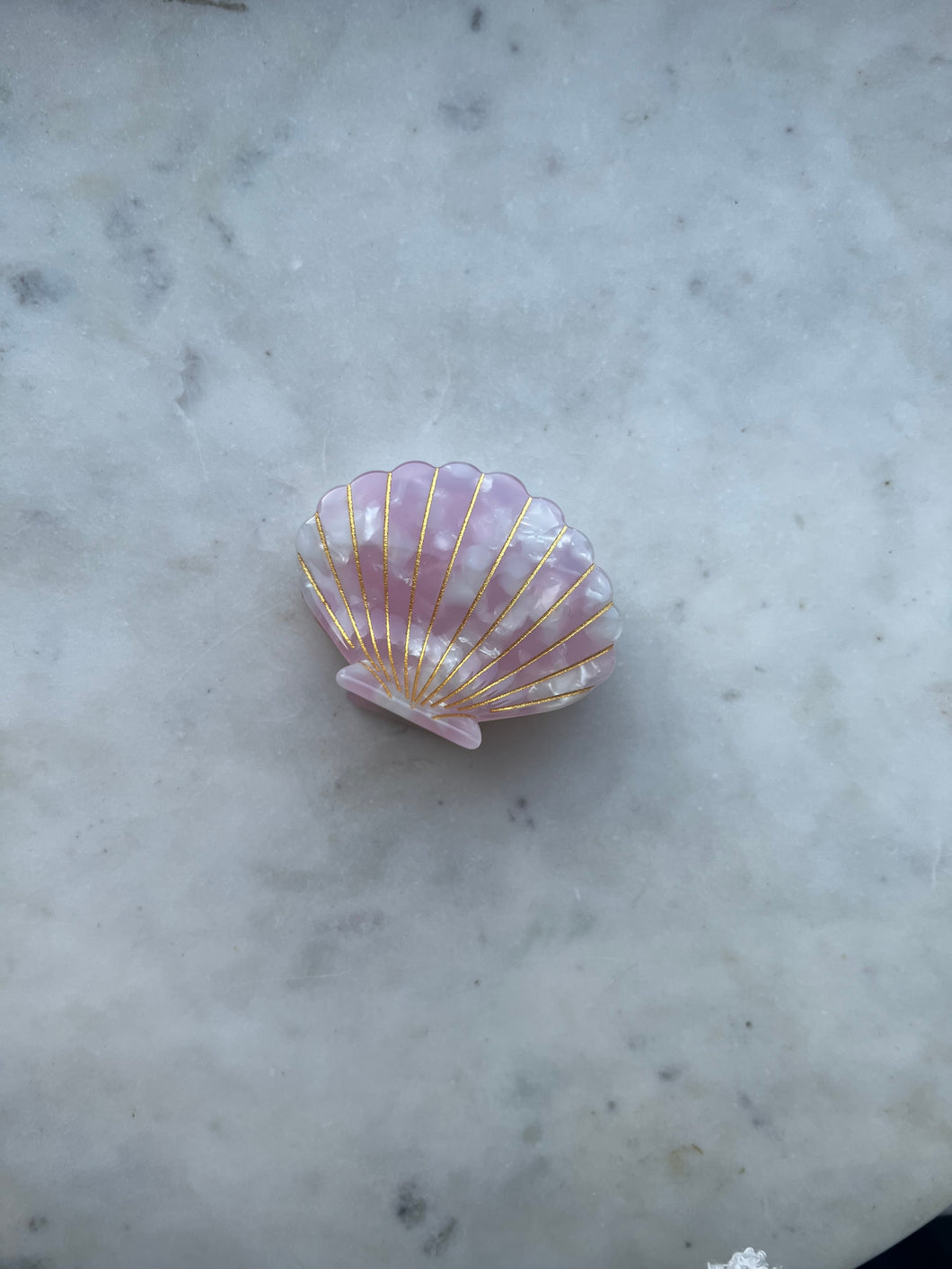 Shell Hair Clip